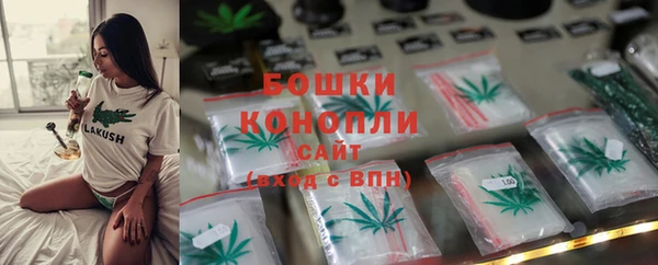 прущие грибы Яровое