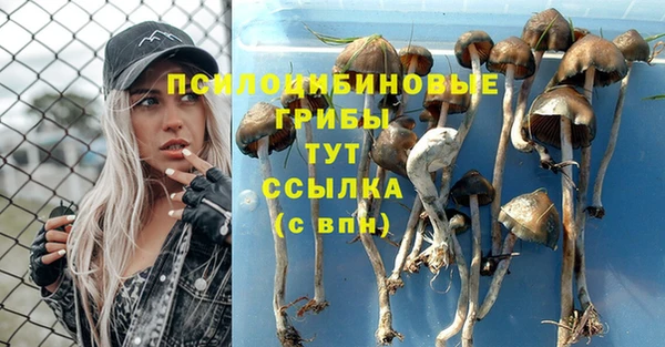 марки nbome Янаул