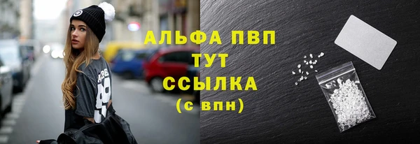 прущие грибы Яровое