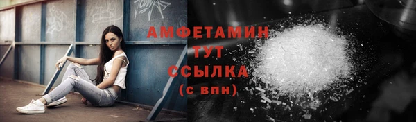 прущие грибы Яровое