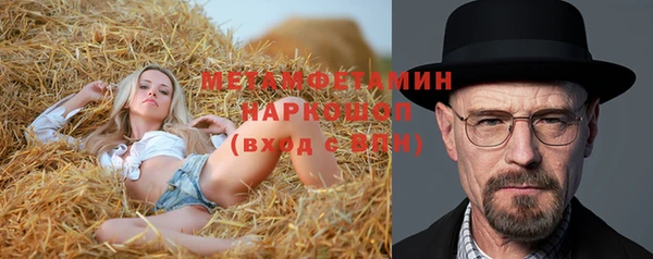 прущие грибы Яровое