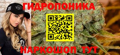 прущие крисы Кузнецк