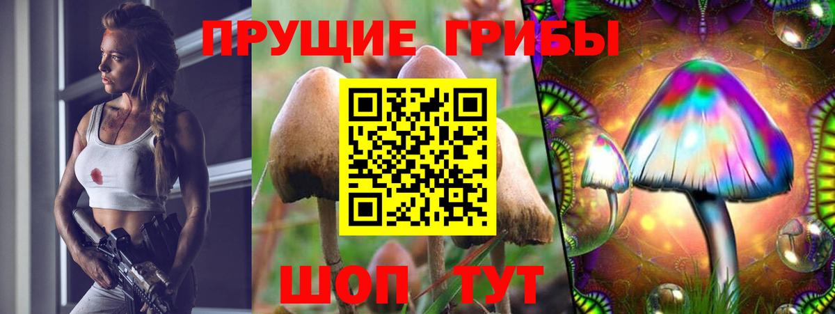Галлюциногенные грибы MAGIC MUSHROOMS  Вход с VPN  Псилоцибиновые грибы Psilocybine cubensis  Ульяновск 